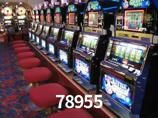 Descubra o Mundo do Cassino Online com 78955